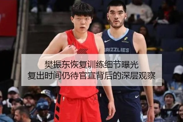 樊振东恢复训练细节曝光 复出时间仍待官宣背后的深层观察