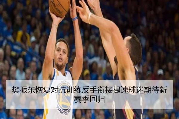 樊振东恢复对抗训练反手衔接提速球迷期待新赛季回归